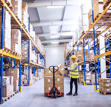 Pallet - Sự Phát Minh Vĩ Đại Thời Ai Cập Cổ Đại & Lưỡng Hà Cổ Đại 1 Pallet - Sự Phát Minh Vĩ Đại Thời Ai Cập Cổ Đại & Lưỡng Hà Cổ Đại