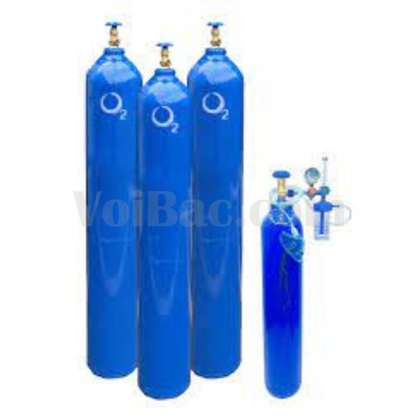 Bình Thở Oxy Đảm Bảo Sức Khỏe Mọi Gia Đình Năm 2024 2 binh tho